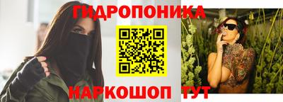спайс Гай