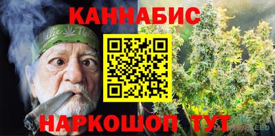 спайс Гай