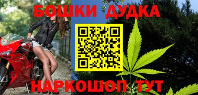 спайс Гай