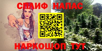 спайс Гай