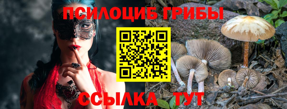 Галлюциногенные грибы MAGIC MUSHROOMS  купить наркотик  Истра  Вход с VPN  Псилоцибиновые грибы Cubensis 