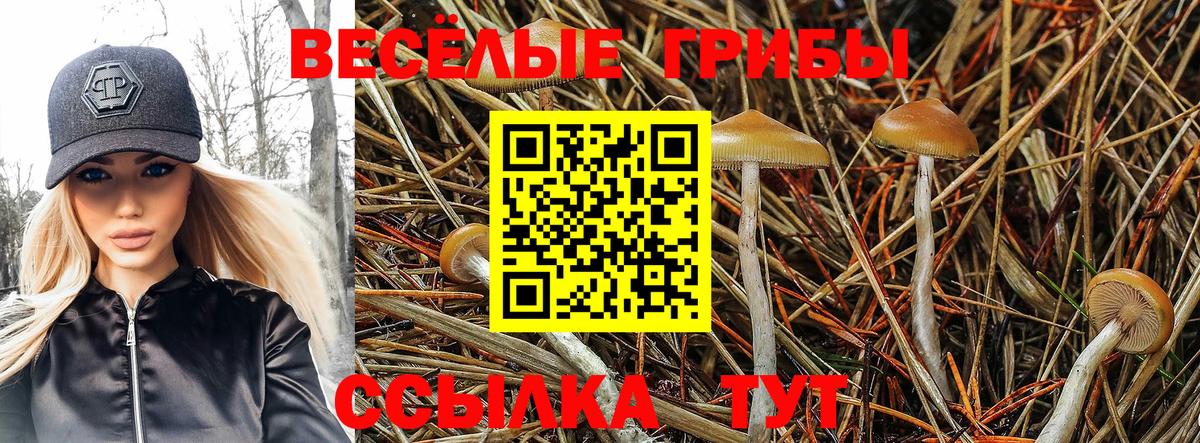 Галлюциногенные грибы MAGIC MUSHROOMS Истра